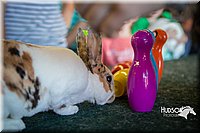 LCFAIR15-7838.jpg