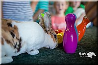LCFAIR15-7839.jpg