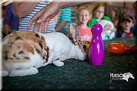 LCFAIR15-7840.jpg