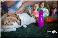 LCFAIR15-7841.jpg