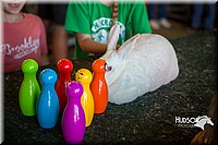 LCFAIR15-7845.jpg