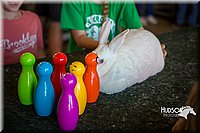LCFAIR15-7846.jpg
