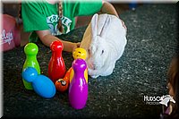 LCFAIR15-7847.jpg