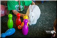 LCFAIR15-7848.jpg