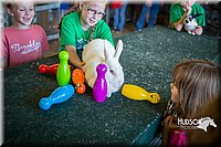 LCFAIR15-7859.jpg