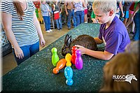 LCFAIR15-7861.jpg