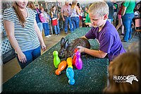 LCFAIR15-7862.jpg