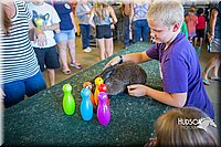 LCFAIR15-7865.jpg