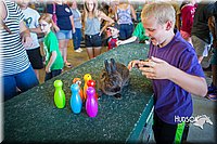 LCFAIR15-7866.jpg