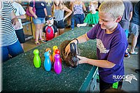 LCFAIR15-7867.jpg