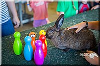 LCFAIR15-7868.jpg
