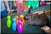 LCFAIR15-7869.jpg