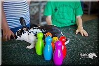 LCFAIR15-7870.jpg
