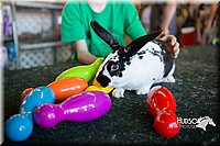 LCFAIR15-7877.jpg