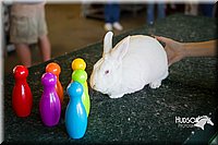 LCFAIR15-7878.jpg