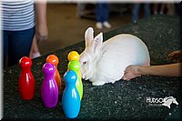 LCFAIR15-7879.jpg