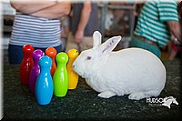 LCFAIR15-7882.jpg