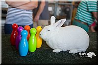 LCFAIR15-7883.jpg