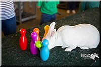 LCFAIR15-7885.jpg