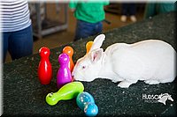 LCFAIR15-7886.jpg