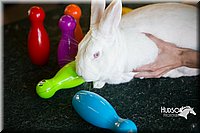 LCFAIR15-7889.jpg
