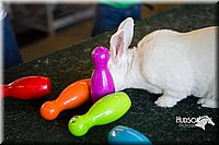 LCFAIR15-7891.jpg