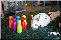 LCFAIR15-7894.jpg