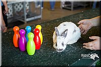 LCFAIR15-7895.jpg