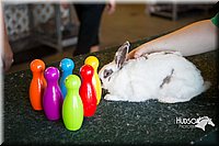 LCFAIR15-7896.jpg