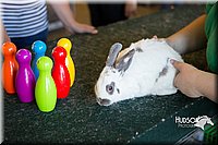 LCFAIR15-7897.jpg