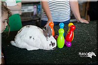 LCFAIR15-7900.jpg