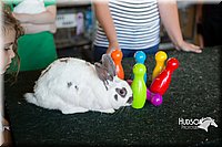 LCFAIR15-7901.jpg