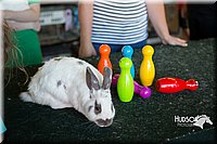 LCFAIR15-7903.jpg