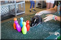 LCFAIR15-7904.jpg