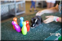 LCFAIR15-7905.jpg