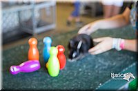 LCFAIR15-7906.jpg