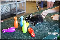 LCFAIR15-7907.jpg
