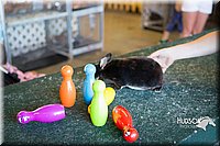 LCFAIR15-7908.jpg