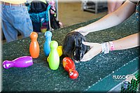 LCFAIR15-7909.jpg