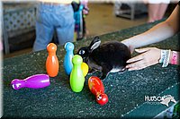 LCFAIR15-7910.jpg