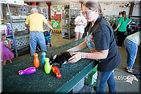 LCFAIR15-7911.jpg