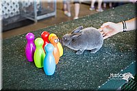 LCFAIR15-7914.jpg
