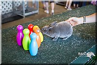 LCFAIR15-7915.jpg