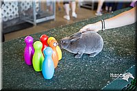 LCFAIR15-7916.jpg