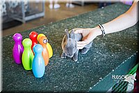 LCFAIR15-7917.jpg