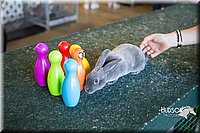 LCFAIR15-7918.jpg