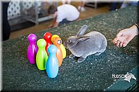 LCFAIR15-7919.jpg