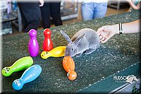 LCFAIR15-7920.jpg