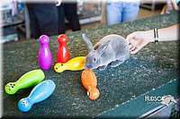 LCFAIR15-7921.jpg