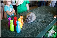 LCFAIR15-7924.jpg